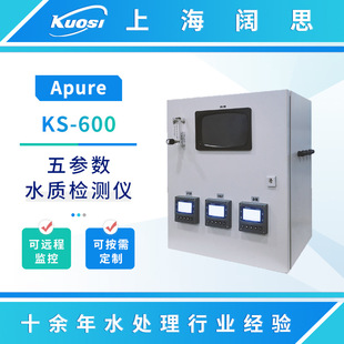 Apure柜式 600泳池多参数在线监测水质分析仪 水质五参数检测仪KS