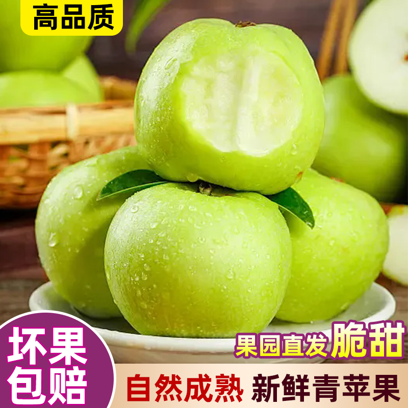 正宗土岐青苹果肉质细腻酸甜多汁现摘现发苹果应季新鲜采摘水果