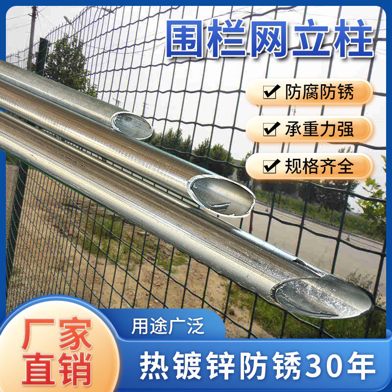 尖头围栏立柱杆防护网养鸡地桩镀锌钢管圆管方管支撑杆爬藤葡萄架图片