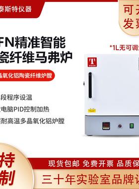 天津马弗炉电阻炉陶瓷纤维炉灰化炉实验设备MNF