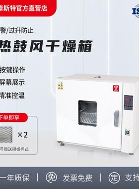 鼓风干燥箱恒温箱工业烤箱烘箱天津厂家直营101-1DB