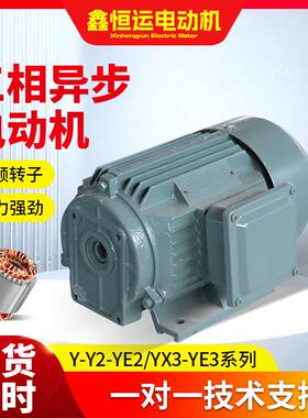 2级YE2三相异步电动机YE2-100L-2立式交流小型起重机用电机厂家