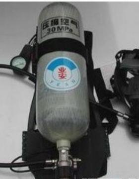 厂家直供自吸式长管呼吸器送电吸动AL-65516风式长呼器过滤式管防