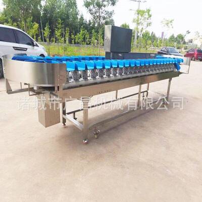 红拣薯薯类称重选设备鸡爪自动重分选分机JPZ玉米重量分分级量机