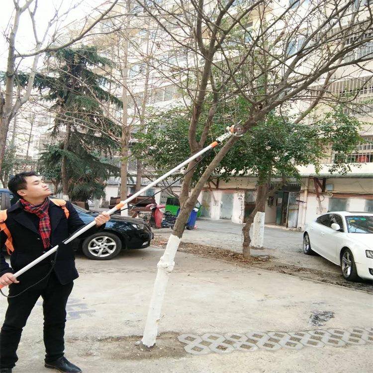 高空可伸枝缩动高剪电动树枝修机果树电剪剪枝881机图片果园