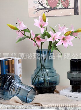 现代简约透明黑色水培玻璃花瓶摆件办公室客厅书房装饰插花养花器