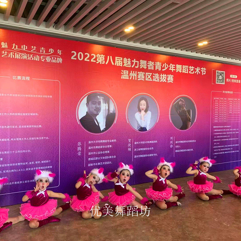 新款儿童动物服儿童表演服可爱小猫咪纱裙圣诞节儿童服装亮蓬蓬裙