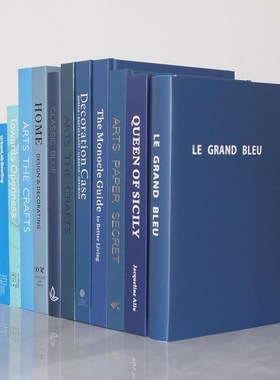 蓝色简约装饰真书 样板房陈列装饰书 样板间饰品摆件 拍摄道具书
