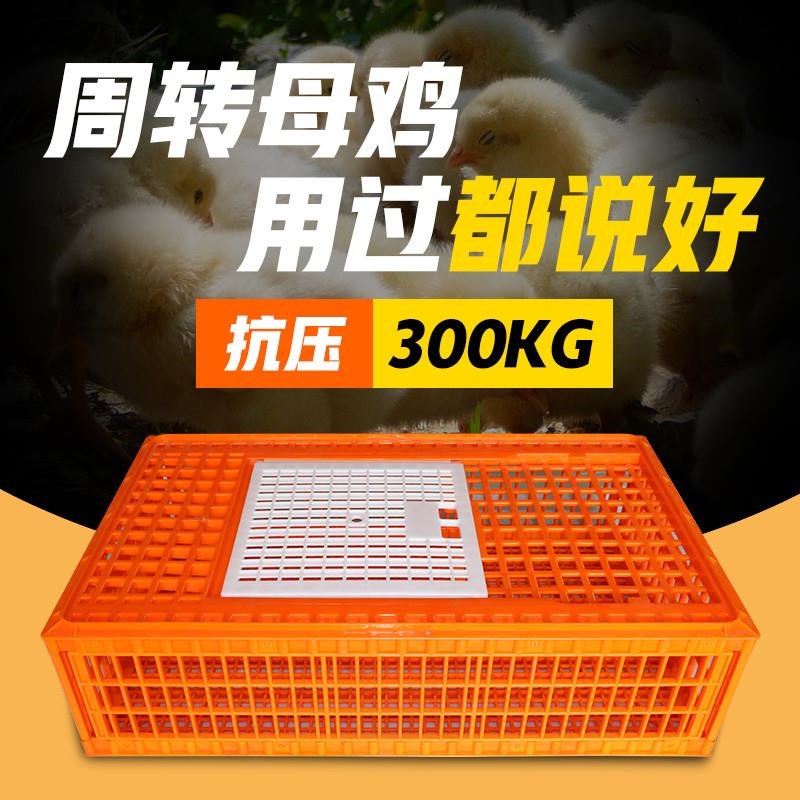 新款鸡笼运输笼塑料周转箱筐成鸡鸭鹅鸽子兔笼家用特大号养殖笼
