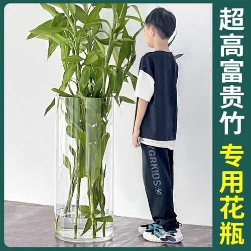 富贵竹花瓶玻璃透明大号特大号落地高405060cm超大超高大型大口径