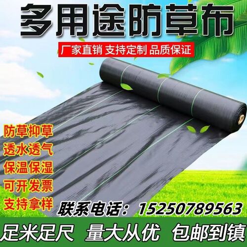 加厚抗老化农用防草布黑色园艺地布新型除草大棚果U园透气透水保