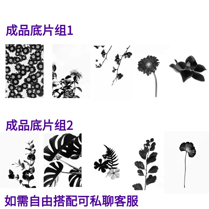 蓝晒菲林片打印定制蓝晒负片反转片透明片A4幻灯投影胶片彩色胶片