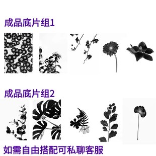 蓝晒菲林片打印定制蓝晒负片反转片透明片A4幻灯投影胶片彩色胶片