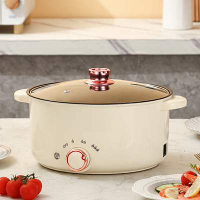 鸳鸯电火锅家用电煮锅多功能一体大容量宿舍学生电炒锅小电锅3-4L