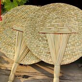 大蒲扇纯手工香蒲草编织扇家用老式 工艺扇芭蕉扇夏天纳凉棕叶扇子