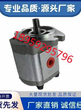 台湾KOMPASS康百世油泵P105RP01GT齿轮泵P106RP01GT P135RP01GT