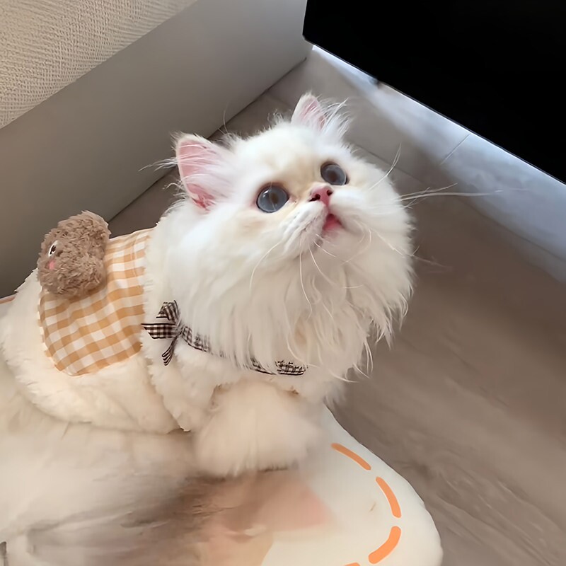 小猫衣服秋冬可爱毛绒保暖棉服猫咪狗狗比熊泰迪马甲冬季宠物背心
