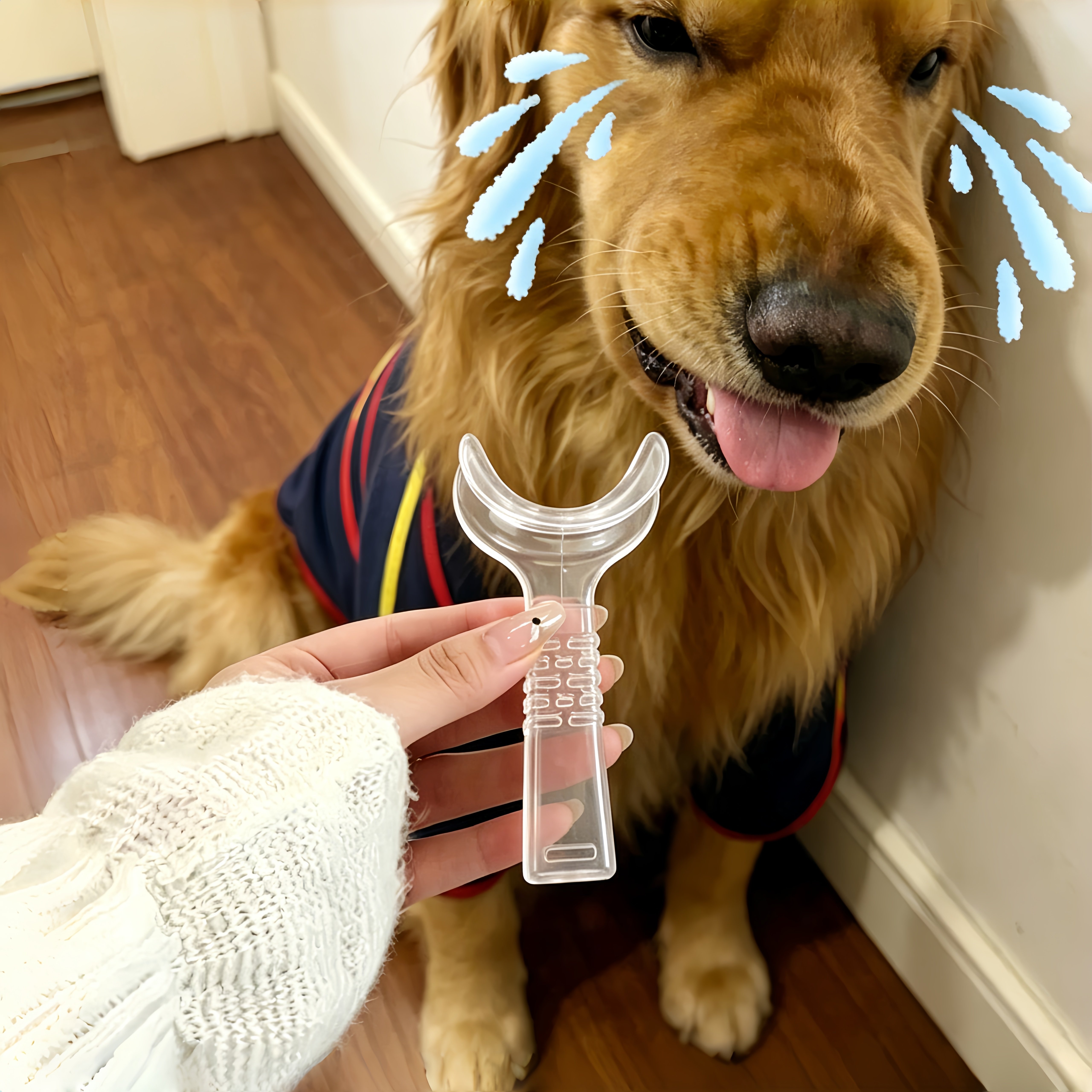 狗狗刷牙辅助器刷牙固定器口腔清洁辅助除牙垢开口器侧边扩口器