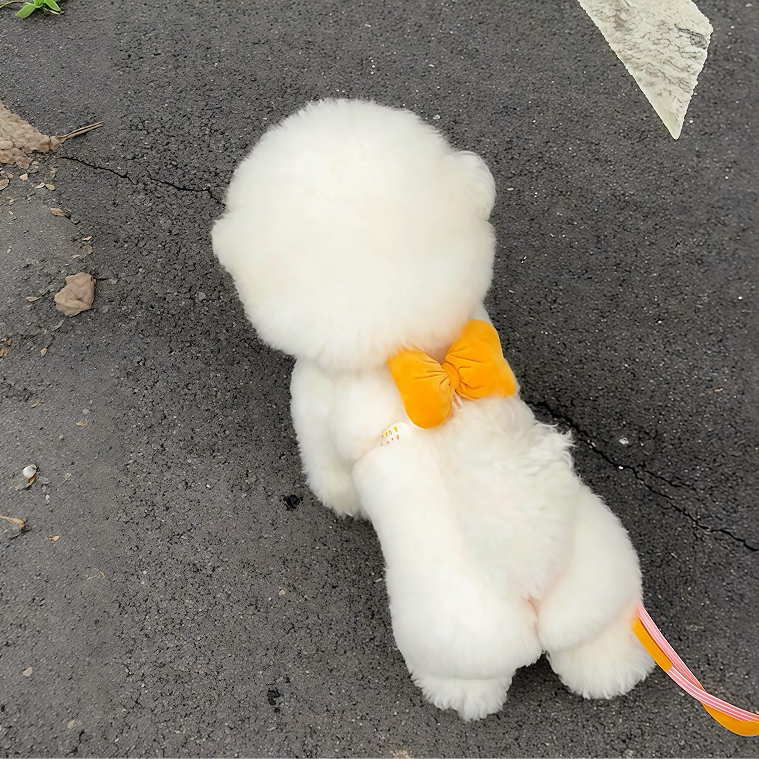 狗狗牵引绳蝴蝶结背心式透气中小型犬宠物通用胸背防挣脱遛狗绳子
