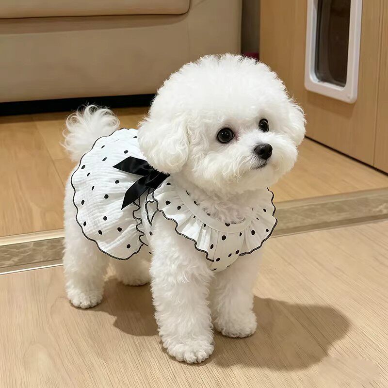 宠物小狗狗衣服夏季薄款公主裙泰迪比熊博美连衣裙防掉毛带牵引扣