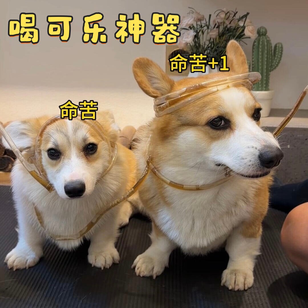 超长软吸管懒人喝水神器躺床上追剧喝饮料搭子食品级循环硅胶细管