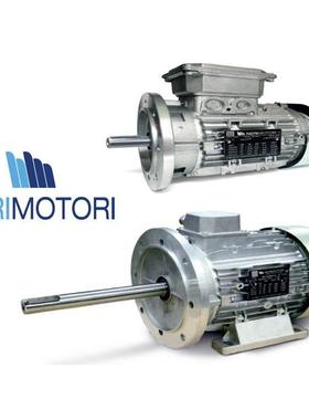 供应意大利NERI电机T80B4