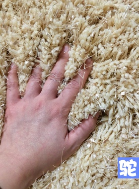 黑灰色加厚加旗长毛绒弹力丝地毯卧室镜子前满铺床边现代简约客厅