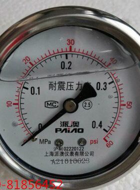 派澳 轴向耐震无边压力表YN-60Z 0.4MPA  YN-60Z 6MPA 1 40YTN60Z