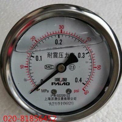 派澳 轴向耐震无边压力表YN-60Z 0.4MPA  YN-60Z 6MPA 1 40YTN60Z