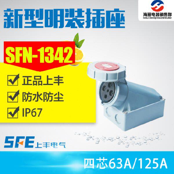 SFN-1342 SFN-1442工业防水插头插座4芯63A 125A380V 4孔明装插座