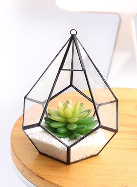 足球钻创桌苔面藓造景雨林LHF景观容器皿生态瓶玻意璃微花房透明