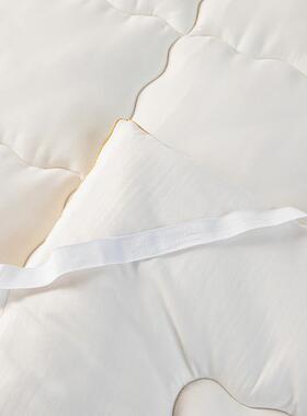 大学生宿床垫大豆纤床维床aMD-2025-类舍母婴加厚床褥垫被软垫上