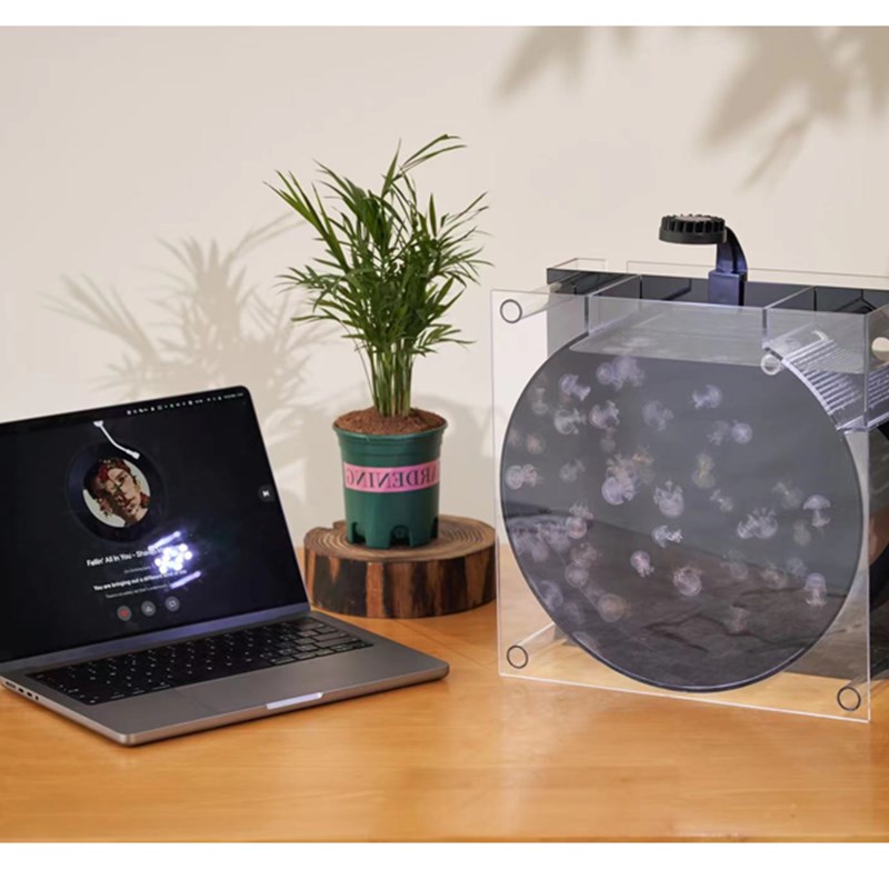 网红水母夜市摆摊专用水母缸12升循环系统中小型水母养殖缸usb口