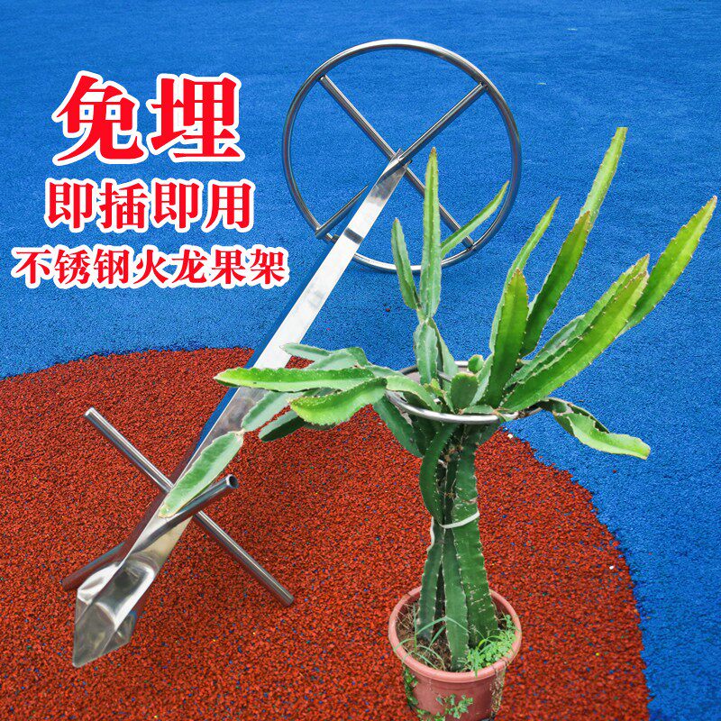 免埋火龙果支架不锈钢圆形架葡萄苗盆栽I种植固定专用支架爬藤花图片