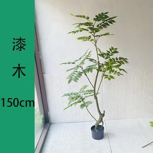 仿真绿木树盆栽室内客厅QS 饰件高 7002落摆地植物香椿植树家居装