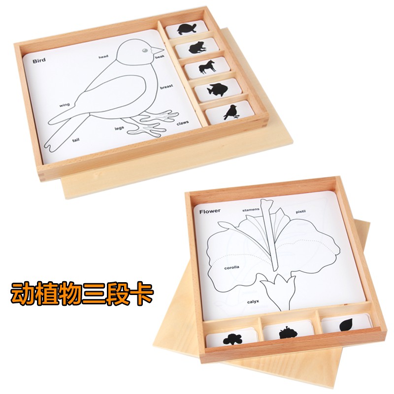 蒙氏教具蒙台梭利教具蒙特梭利动物三段卡动物植物三段卡三部卡
