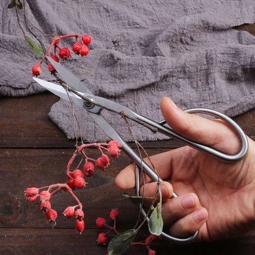 不锈钢实心叶芽剪家用修枝剪刀小枝切剪盆景剪刀园艺修枝专业花剪