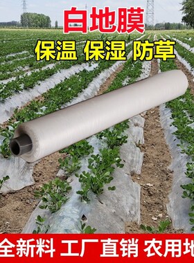 。地膜农用白膜种植西瓜s专用农膜种菜薄膜白色防草布除草菜地大