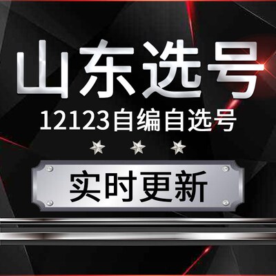 济南青岛莱芜济宁汽车选号12123D自编自选号车牌号新能源占用查询