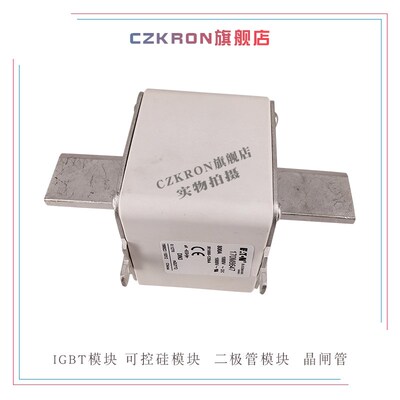 快速熔断器170M8647 170M864A8 170M8649 170M8650保险丝