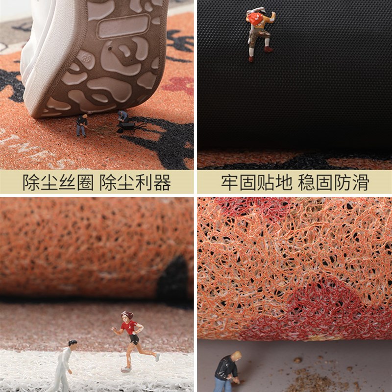 进门地垫入户门垫耐脏免洗门口pvc脚垫家用玄关进户防滑除尘地毯
