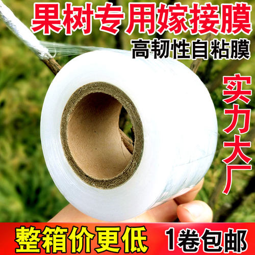 嫁接膜专用膜PE小膜果数园x林农用包扎带无需打结薄膜自粘膜包邮