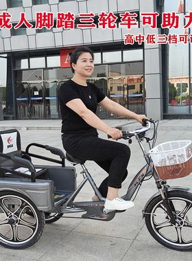 老年脚蹬助力三轮车成人脚踏电动自行车老人N代步接送孩子客货二