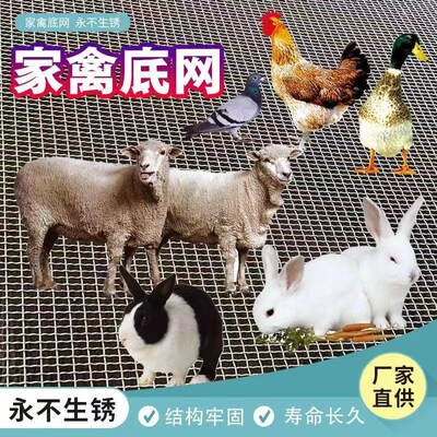 羊床漏粪网养羊鸡鸭鹅漏粪网底养殖围栏网热浸镀锌编织羊床钢丝网