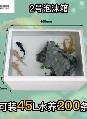 用种植泡育沫箱蔬菜IWG加厚培育花箱园种植箱鲜花培果专用蔬养殖