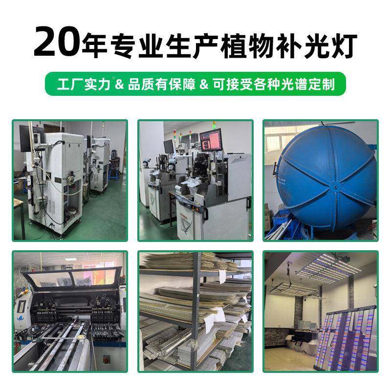 透镜款肉全光T谱植BJQ物多生长灯8花上卉色防徒长水培育苗植物补