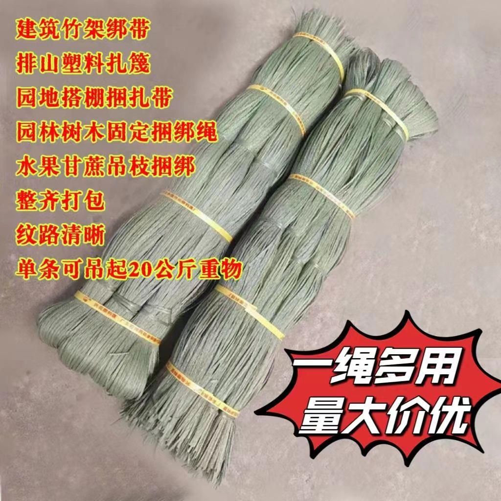 塑料绳捆绑扎带瓜果树拉