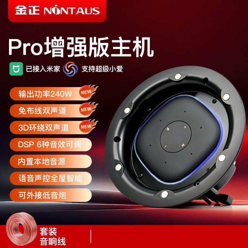 嵌入式吸顶音响家用客厅