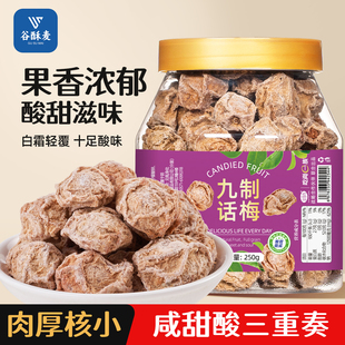 九制话梅干罐装咸酸梅干泡水喝梅子孕妇休闲零食果干果脯蜜饯梅肉