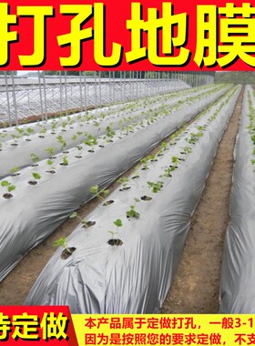 定制带洞眼农用塑料薄膜蔬菜双色打孔地膜银黑地膜除草Z保温膜胶